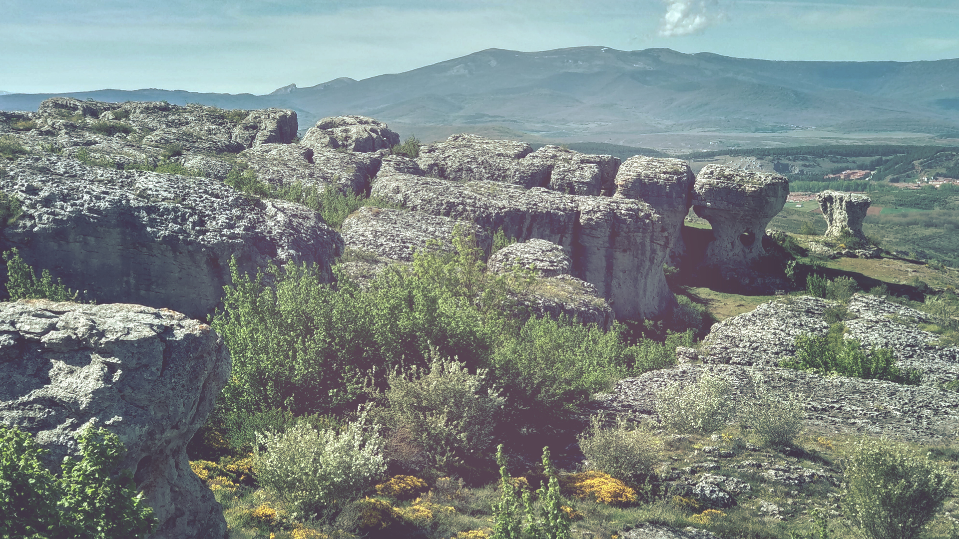 El CENIEH se beneficia de la beca de investigación de Galletas Gullón para el Geoparque UNESCO Las Loras