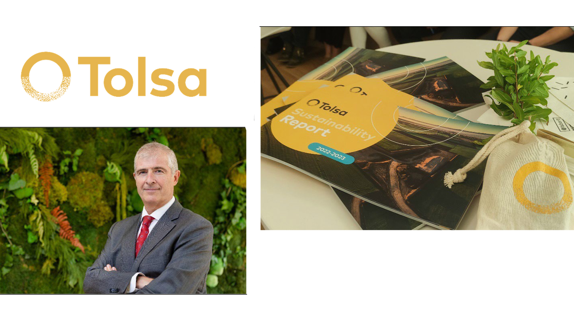 Javier Pau Gamarra presenta la tercera Memoria de Sostenibilidad de Tolsa, una compañía pionera y certificada en Minería Sostenible.